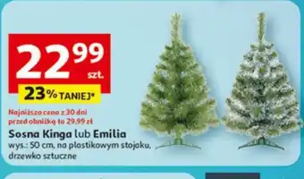 Auchan Sosna Kinga lub Emilia oferta