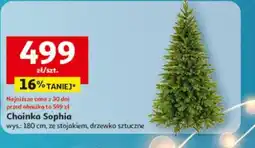 Auchan Choinka Sophia oferta