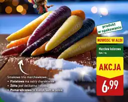 ALDI Marchew kolorowa oferta