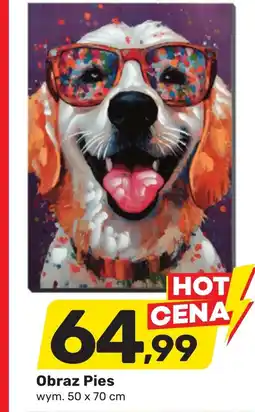 Bricomarche Obraz oferta