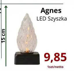 Triomen Agnes LED Szyszka oferta