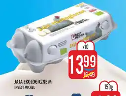 MOKPOL JAJA EKOLOGICZNE M oferta