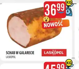 MOKPOL SCHAB W GALARECIE oferta