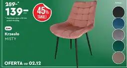 Biedronka Krzesło Jumi oferta