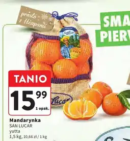 Intermarche Mandarynka SAN LUCAR yutta oferta