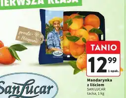 Intermarche Mandarynka z liściem SAN LUCAR tacka oferta