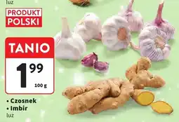 Intermarche Czosnek luz Intermarche oferta