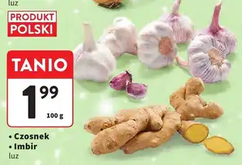 Czosnek luz Intermarche