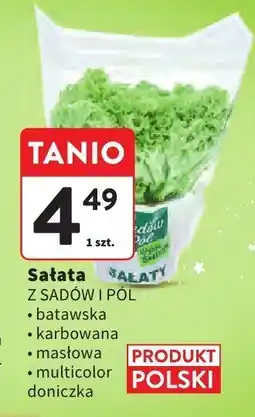 Intermarche Sałata Z SADÓW I PÓL wybrane rodzaje oferta