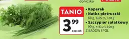 Intermarche Szczypior sałatkowy Z SADÓW I PÓL oferta