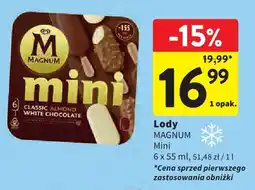 Intermarche Lody MAGNUM Mini wybrane rodzaje oferta