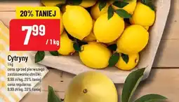 Polomarket Cytryny oferta