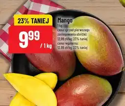 Polomarket Mango oferta
