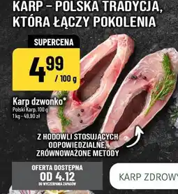 Polomarket Karp dzwonko oferta