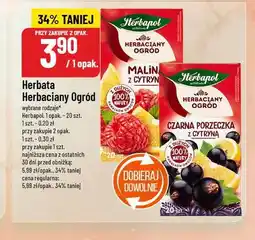 Polomarket Herbata Herbaciany Ogród (wybrane rodzaje) oferta