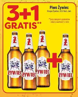 Polomarket Piwo Żywiec oferta