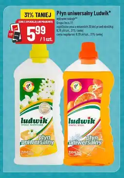 Polomarket Płyn uniwersalny Ludwik oferta