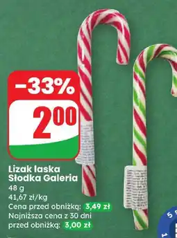 Dino Lizak laska Słodka Galeria oferta