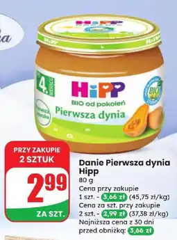 Dino Danie Pierwsza dynia Hipp BIO od pokoleń oferta