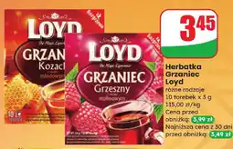 Dino Herbatka Grzaniec Loyd różne rodzaje oferta