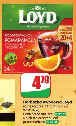 Dino Herbatka owocowa Loyd różne rodzaje oferta