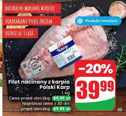 Dino Filet nacinany z karpia Polski Karp oferta