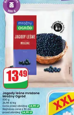 Dino Jagody leśne mrożone Mrożny Ogród oferta