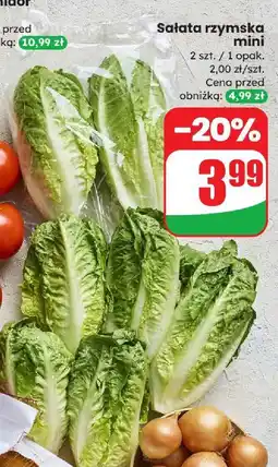 Dino Sałata rzymska mini Dino oferta