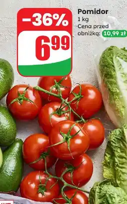 Dino Pomidor Dino oferta