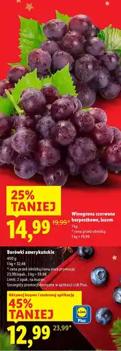 Lidl Borówki amerykańskie Lidl oferta