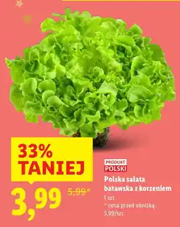 Lidl Sałata polska batawska z korzeniem Lidl oferta