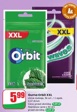 Dino Guma Orbit XXL różne rodzaje oferta