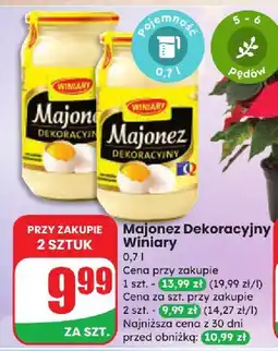 Dino Majonez Dekoracyjny Winiary oferta