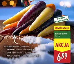 ALDI Marchew kolorowa fioletowa żółta pomarańczowa Aldi oferta