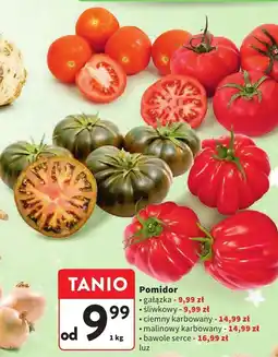 Intermarche Pomidor gałązka Intermarche oferta