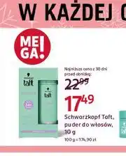 Rossmann Puder do włosów Taft Instant Volume Powder oferta