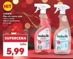 Kaufland Płyn do szyb i luster anty para Ludwik oferta