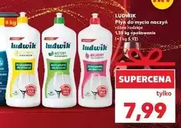 Kaufland Płyn do mycia naczyń cytrynowy Ludwik oferta