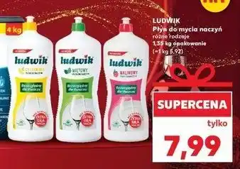Kaufland Płyn do mycia naczyń cytrynowy Ludwik oferta