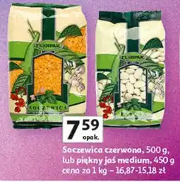 Auchan Fasola piękny jaś medium Florpak oferta