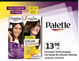 Auchan Szampon do koloryzacji włosów 341 (3-0) Palette Color Shampoo oferta