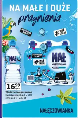 Auchan Woda niegazowana Nałęczowianka oferta