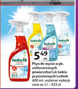 Auchan Płyn do szyb i luster anty para Ludwik oferta