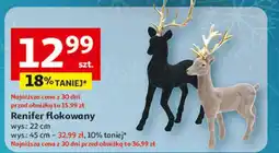 Auchan Renifer flokowany 45 cm oferta