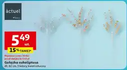 Auchan Gałązka eukaliptusa 82 cm Actuel oferta