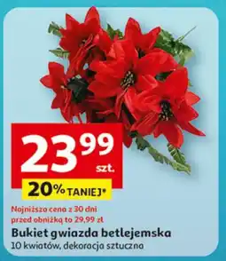 Auchan Bukiet gwiazd betlejemskich oferta