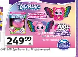 Auchan Kotek bloomables Spin Master oferta