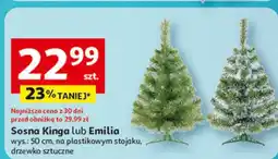 Auchan Choinka sosna emilia 50 cm oferta