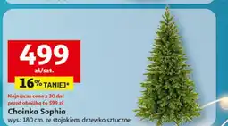 Auchan Choinka sophia na pniu 180 cm oferta