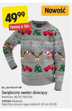 Jula Sweter dziecięcy Bluewear oferta